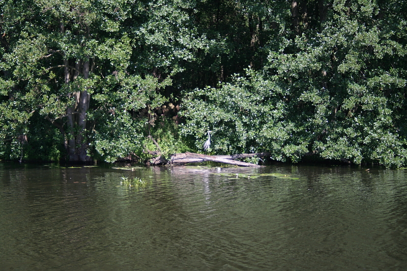 Killikus&reg; Fotographie